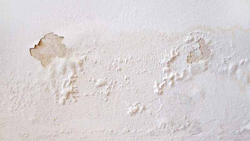 Look for discoloration, peeling, or a “bubbling” effect