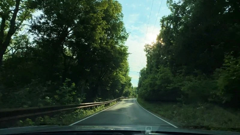 Driver's view of Orrville Road, a narrow tree-lined two-lane road in rural Wildwood
