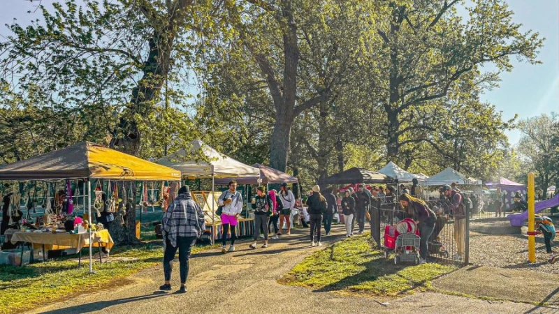 Festivals, Food and Shade