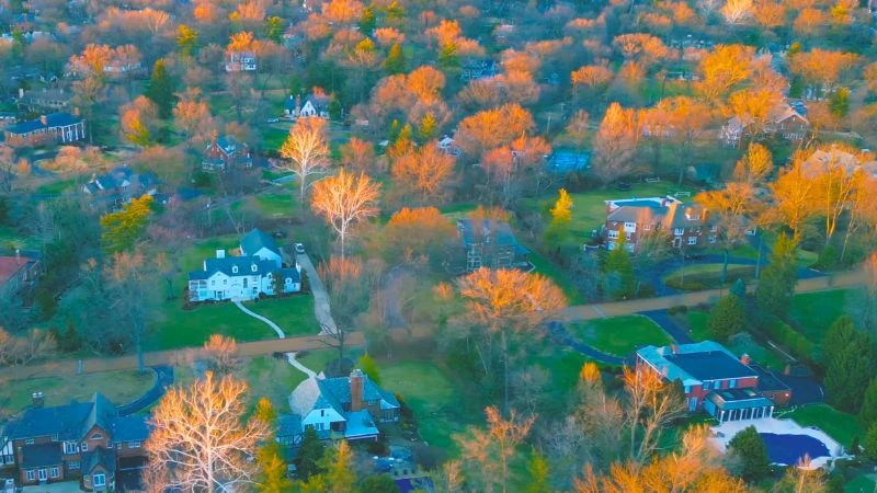 The Hampton Park Neighborhood