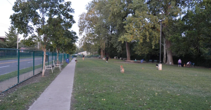 University City Dog Park