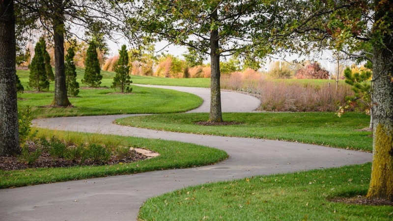 Bluebird Meadows Park