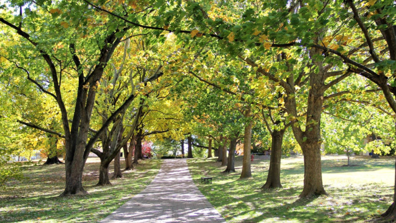 Parks, Nature, and Outdoor Life