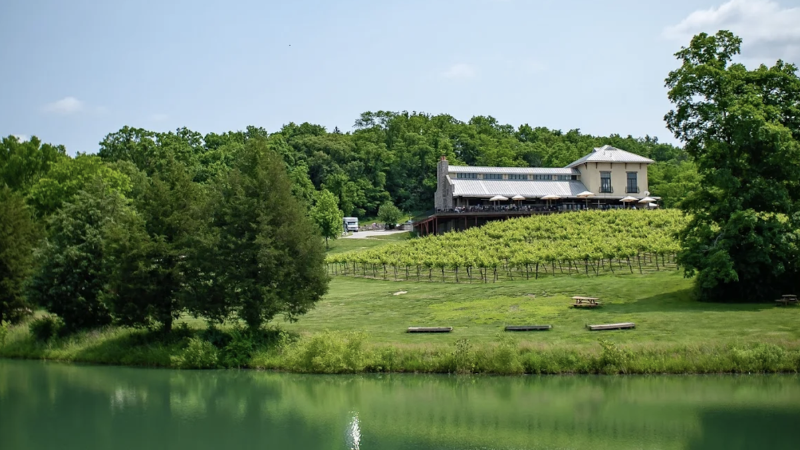 Chandler Hill Vineyards Chandler Hill Vineyards