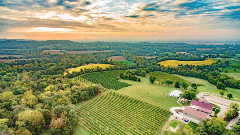 Noboleis Vineyards - Augusta, MO