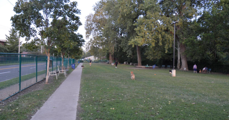 University City Dog Park