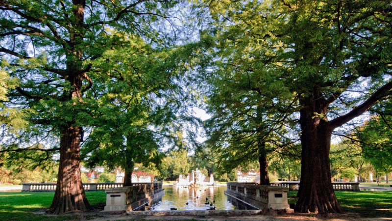 Tower Grove Park